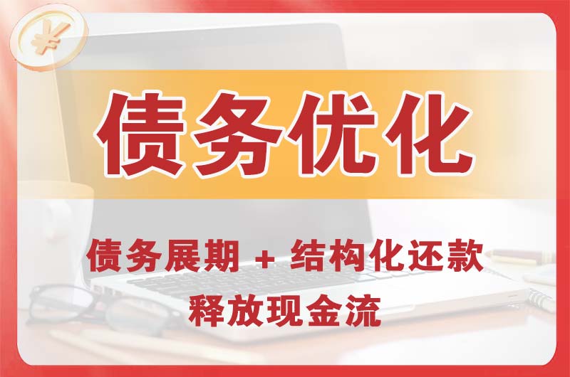 泰兴债务优化